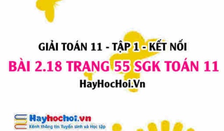 Giải bài 2.18 trang 55 Toán 11 tập 1 SGK Kết nối tri thức